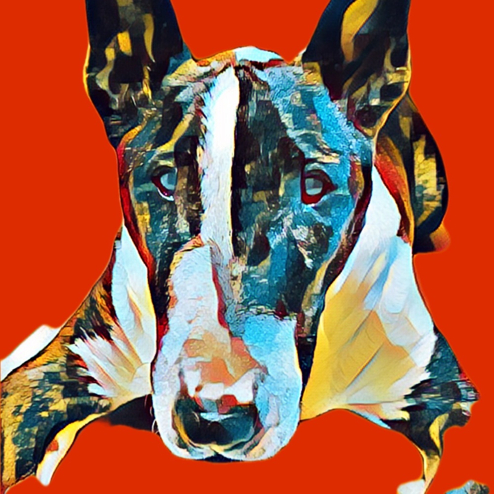 Meet your Posher, Donna